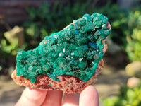 Natural Dioptase Crystals with Malachite on Dolomite Matrix Specimens x 6 From Likasi, Congo - Toprock Gemstones and Minerals