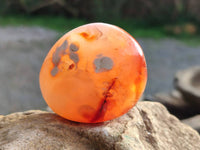 Polished Carnelian Agate Palm Stones x 12 From Madagascar - Toprock Gemstones and Minerals