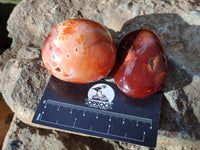 Polished Carnelian Agate Palm Stones x 12 From Madagascar - Toprock Gemstones and Minerals