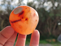 Polished Carnelian Agate Palm Stones x 12 From Madagascar - Toprock Gemstones and Minerals