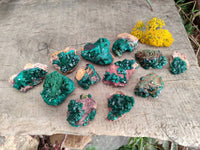 Natural Dioptase Crystals with Malachite on Dolomite Matrix Specimens x 12 From Likasi, Congo - Toprock Gemstones and Minerals