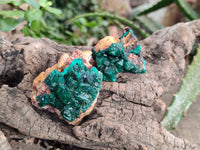 Natural Dioptase Crystals with Malachite on Dolomite Matrix Specimens x 12 From Likasi, Congo - Toprock Gemstones and Minerals