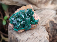 Natural Dioptase Crystals with Malachite on Dolomite Matrix Specimens x 12 From Likasi, Congo - Toprock Gemstones and Minerals