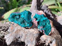 Natural Dioptase Crystals with Malachite on Dolomite Matrix Specimens x 12 From Likasi, Congo - Toprock Gemstones and Minerals