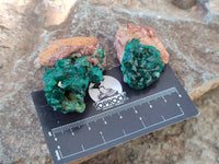 Natural Dioptase Crystals with Malachite on Dolomite Matrix Specimens x 12 From Likasi, Congo - Toprock Gemstones and Minerals