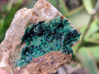 Natural Super Rare Crystalline Malachite Specimens x 6 From Tenke Fungurume, Congo - Toprock Gemstones and Minerals