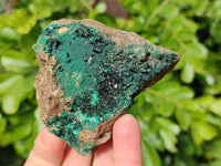 Natural Super Rare Crystalline Malachite Specimens x 6 From Tenke Fungurume, Congo - Toprock Gemstones and Minerals