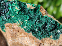 Natural Super Rare Crystalline Malachite Specimens x 6 From Tenke Fungurume, Congo - Toprock Gemstones and Minerals