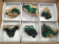 Natural Super Rare Crystalline Malachite Specimens x 6 From Tenke Fungurume, Congo - Toprock Gemstones and Minerals
