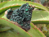 Natural Super Rare Crystalline Malachite Specimens x 6 From Tenke Fungurume, Congo - Toprock Gemstones and Minerals