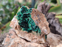 Natural Super Rare Crystalline Malachite Specimens x 6 From Tenke Fungurume, Congo - Toprock Gemstones and Minerals