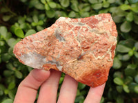 Natural Selected Brecciated Jasper Cobbed Pieces x 17 From South Africa - Toprock Gemstones and Minerals