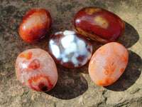 Polished Carnelian Agate Palm Stones x 12 From Madagascar - Toprock Gemstones and Minerals