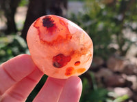 Polished Carnelian Agate Palm Stones x 12 From Madagascar - Toprock Gemstones and Minerals