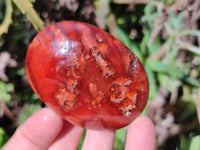 Polished Carnelian Agate Palm Stones x 12 From Madagascar - Toprock Gemstones and Minerals