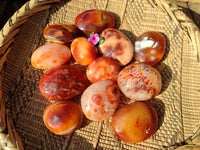 Polished Carnelian Agate Palm Stones x 12 From Madagascar - Toprock Gemstones and Minerals