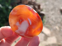 Polished Carnelian Agate Palm Stones x 12 From Madagascar - Toprock Gemstones and Minerals