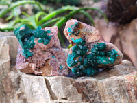 Natural Dioptase Crystals with Malachite on Dolomite Matrix Specimens x 6 From Likasi, Congo - Toprock Gemstones and Minerals