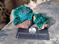 Natural Dioptase Crystals with Malachite on Dolomite Matrix Specimens x 6 From Likasi, Congo - Toprock Gemstones and Minerals