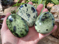 Polished Selected Large Leopard Stone Palm Stones x 9 From Nyanga, Zimbabwe - Toprock Gemstones and Minerals