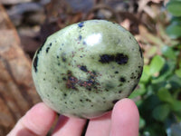 Polished Selected Large Leopard Stone Palm Stones x 9 From Nyanga, Zimbabwe - Toprock Gemstones and Minerals
