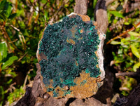 Natural Crystalline Malachite Specimens x 2 From Tenke Fungurume, Congo - Toprock Gemstones and Minerals