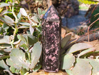 Polished Pink Rhodonite Points x 2 From Ambindavato, Madagascar - Toprock Gemstones and Minerals