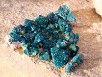 Natural Dioptase on Dolomite Matrix Specimens x 20 From Likasi, Congo - Toprock Gemstones and Minerals