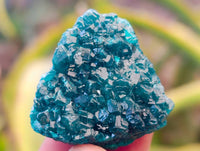 Natural Dioptase on Dolomite Matrix Specimens x 20 From Likasi, Congo - Toprock Gemstones and Minerals