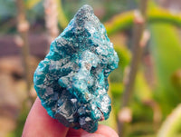 Natural Dioptase on Dolomite Matrix Specimens x 20 From Likasi, Congo - Toprock Gemstones and Minerals