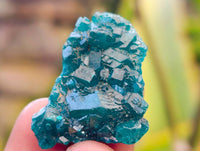 Natural Dioptase on Dolomite Matrix Specimens x 20 From Likasi, Congo - Toprock Gemstones and Minerals