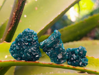 Natural Dioptase on Dolomite Matrix Specimens x 20 From Likasi, Congo - Toprock Gemstones and Minerals