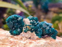 Natural Dioptase on Dolomite Matrix Specimens x 20 From Likasi, Congo - Toprock Gemstones and Minerals