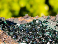 Natural XX Rare Crystalline Malachite Specimens x 3 From Congo - Toprock Gemstones and Minerals