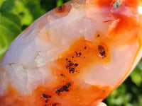 Polished Carnelian Agate Standing Free Forms x 4 From Madagascar - Toprock Gemstones and Minerals
