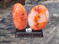 Polished Carnelian Agate Standing Free Forms x 4 From Madagascar - Toprock Gemstones and Minerals
