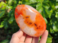 Polished Carnelian Agate Standing Free Forms x 4 From Madagascar - Toprock Gemstones and Minerals