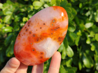 Polished Carnelian Agate Standing Free Forms x 4 From Madagascar - Toprock Gemstones and Minerals