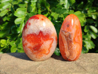 Polished Carnelian Agate Standing Free Forms x 4 From Madagascar - Toprock Gemstones and Minerals