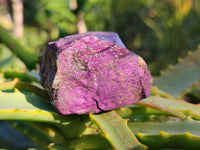 Natural Metallic Purpurite Cobbed Specimens x 12 From Erongo, Namibia - Toprock Gemstones and Minerals