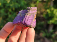 Natural Metallic Purpurite Cobbed Specimens x 12 From Erongo, Namibia - Toprock Gemstones and Minerals
