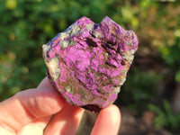 Natural Metallic Purpurite Cobbed Specimens x 12 From Erongo, Namibia - Toprock Gemstones and Minerals