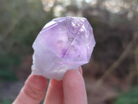 Natural Jacaranda Amethyst Quartz Crystals x 12 From Mumbwa, Zambia - Toprock Gemstones and Minerals