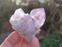 Natural Jacaranda Amethyst Quartz Crystals x 12 From Mumbwa, Zambia - Toprock Gemstones and Minerals