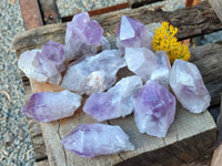 Natural Jacaranda Amethyst Quartz Crystals x 12 From Mumbwa, Zambia - Toprock Gemstones and Minerals