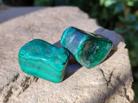 Polished Flower Banded Malachite Tumbled Stones x 35 From Congo - Toprock Gemstones and Minerals