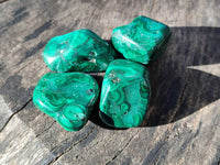 Polished Flower Banded Malachite Tumbled Stones x 35 From Congo - Toprock Gemstones and Minerals