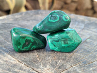Polished Flower Banded Malachite Tumbled Stones x 35 From Congo - Toprock Gemstones and Minerals