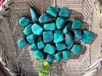 Polished Flower Banded Malachite Tumbled Stones x 35 From Congo - Toprock Gemstones and Minerals