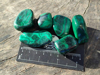 Polished Flower Banded Malachite Tumbled Stones x 35 From Congo - Toprock Gemstones and Minerals